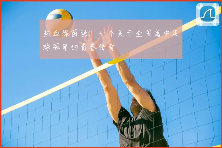 热血绿茵场:一个关于全国高中足球冠军的青春传奇